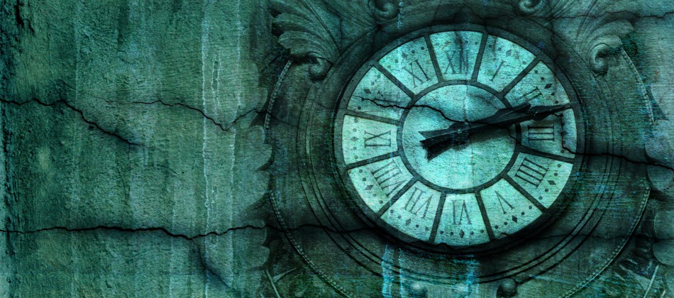 Evergreen Polled Herefords